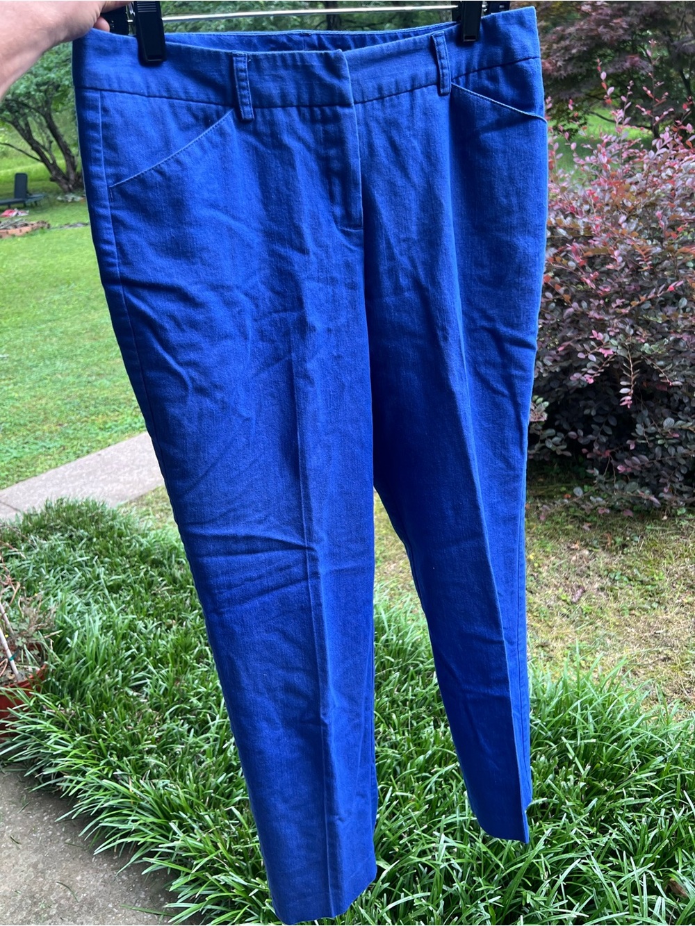 Women’s Dress Pants - Royal Blue